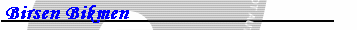 Birsen Bikmen